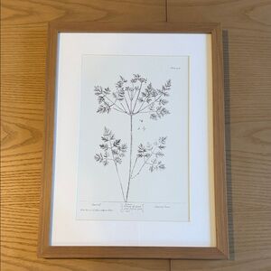 Hearth & Hand Botanical Art Print with Wooden Frame